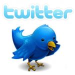 twitter bird twitter bird
