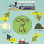 circle of life circle of life