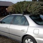 christmas tree on car christmas tree on car