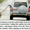 Dog walking beside moving car on leash.