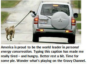 America ranks #1 in Personal Energy Conservation (laziness)
