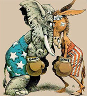 Torn about who to vote for this year