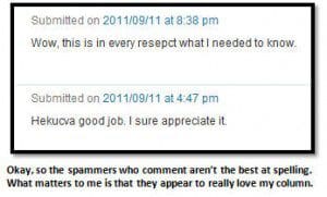 blog comments - spammer comments