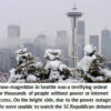 Seattle snowstorm with snowy trees and skyline.