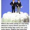 Two grooms on a wedding cake topper.