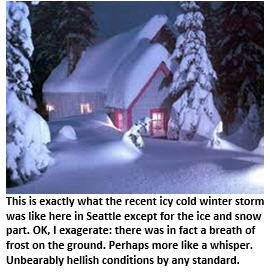 Seattle’s narrow escape from the icy grip of winter