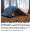 Tent in a forest with fallen leaves.