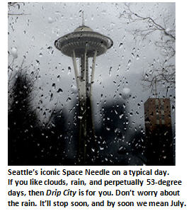 Rain, clouds, moss and other reasons I love Drip City