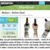 Groupon deal for Scandinavian drink cozies.