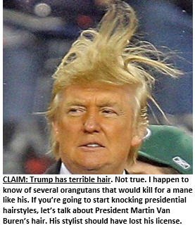 Trump - Hair