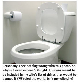 If I ruled the world - toilet