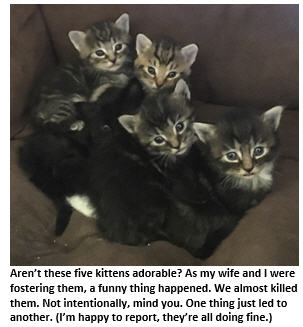 How to (Almost) Kill Kittens Without Really Trying