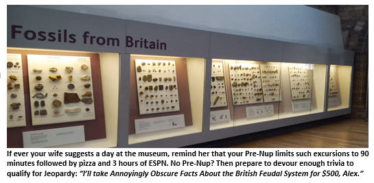 Day at the Museum