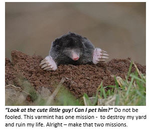 My Personal War with a Backyard Mole