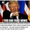 Man pointing with "You Are Fake News.