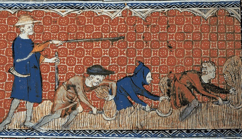 My DNA profile indicates that my most direct relative from the Middle Ages was probably this guy in the hoodie, second from the right, plowing a field. He could neither read nor write. Thus began a succession of low achievers.