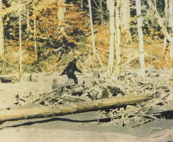 This is perhaps the most iconic image ever taken of Bigfoot, from 1967. Is this really Bigfoot? If so, where was he going in such a hurry? Experts believe it was probably a male because it refused to ask for directions.