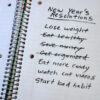 Every year it’s the same list of New Year’s Resolutions. Lose weight, exercise more, cut out sugar, be nice to my wife. And every year, I give up – usually by National Bird Day (observed each January 5th) So, this year, I’ve decided, if I’m going to fail, why not shoot for the moon. Go big or go home.