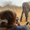 This is my wife taking a photo of an approaching elephant. I have to say, I was more than a bit disappointed when our guide said that I wasn’t permitted to exit the vehicle and ride the elephant. Naturally, I filed a complaint with the tour company demanding a full refund.